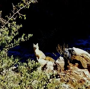 Meet your Posher, Sean